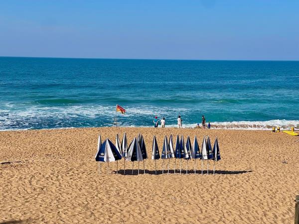 1.5 Bedroom Apartment