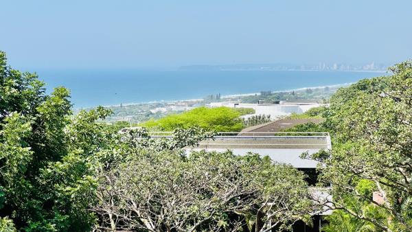 338  m² Office Space