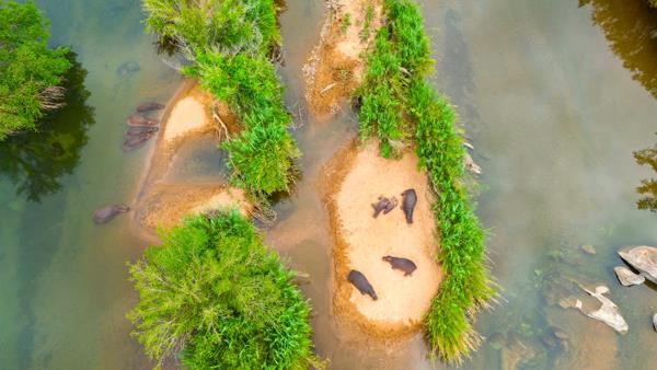 1 800 m² Farm with House