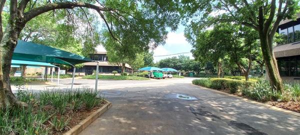 539 m² Office Space
