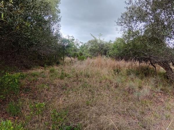 1 197 m² Land