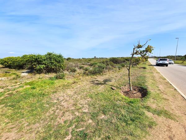 3 924 m² Land