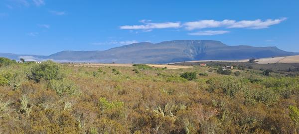 2.6 ha Agricultural Holding