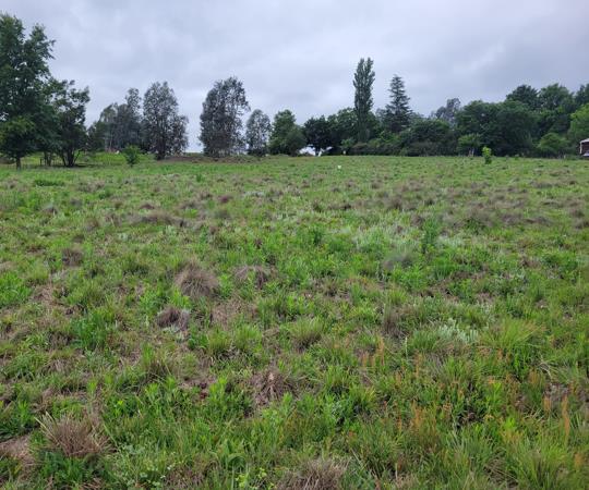 4 253 m² Land
