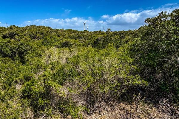 831 m² Land