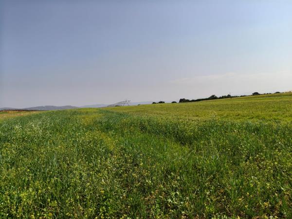 27 ha Land