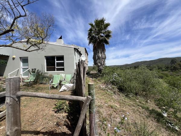 9 000 m² Smallholding