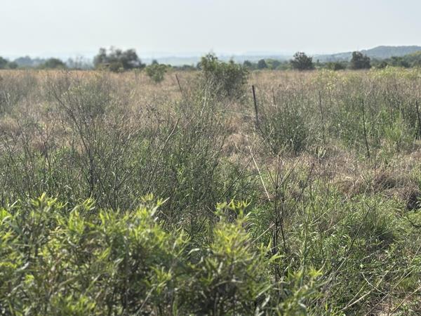 8.6 ha Land