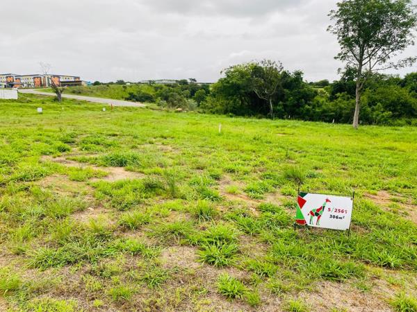 308 m² Land