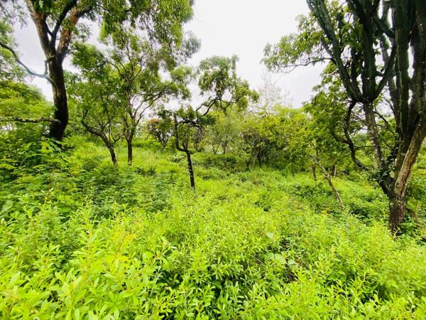 1 560 m² Land