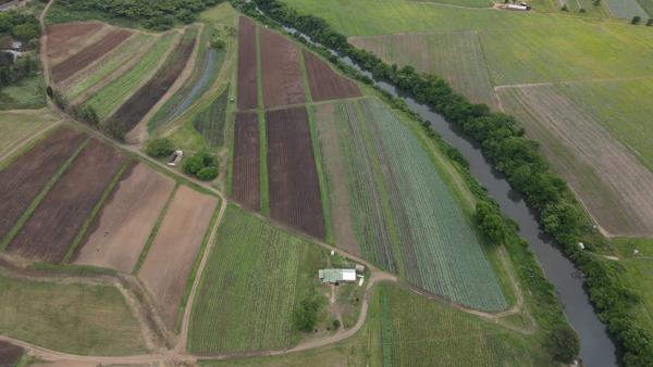 44.5 ha Farm