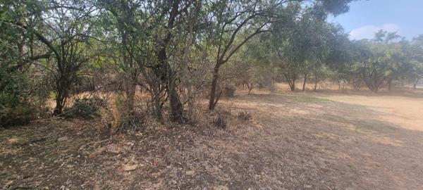 975 m² Land