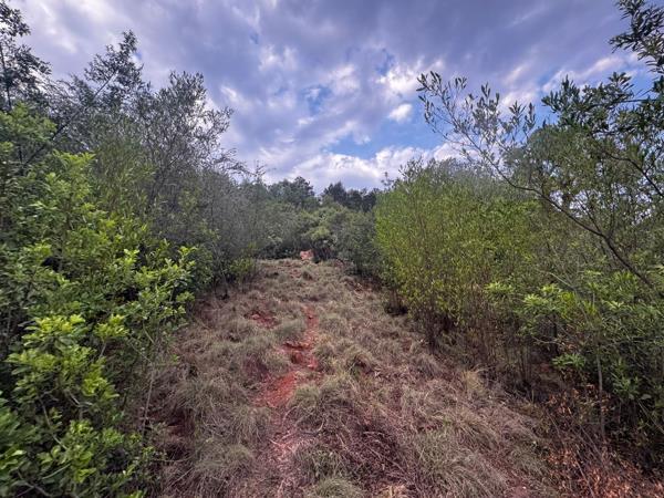 2 754 m² Land