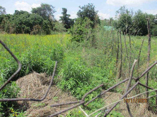 1 164 m² Land