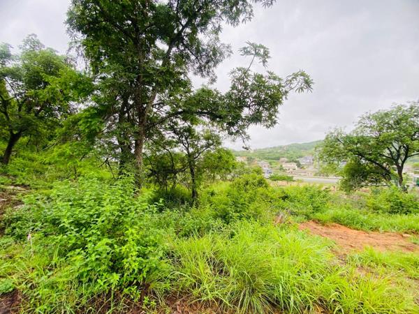 1 203 m² Land