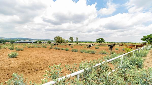 4.8 ha Farm