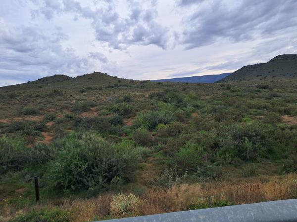 25.4 ha Smallholding