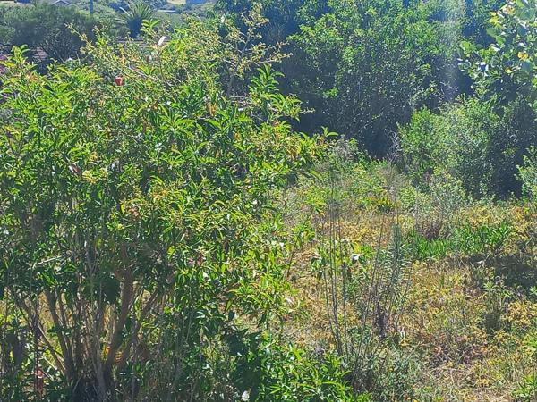 1 205 m² Land