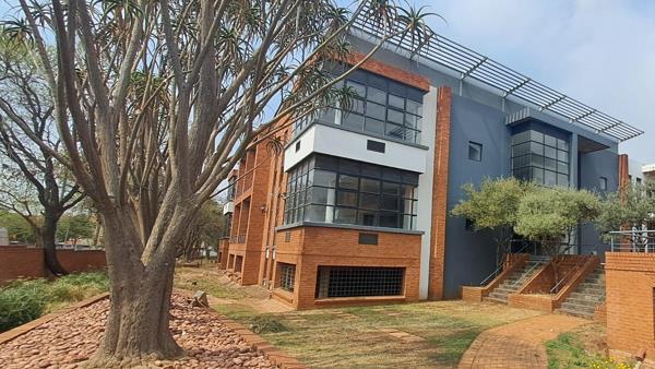 230  m² Office Space