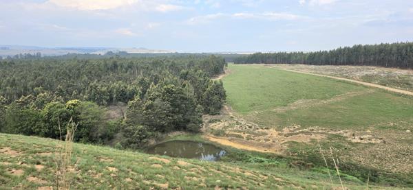 267.6 ha Farm