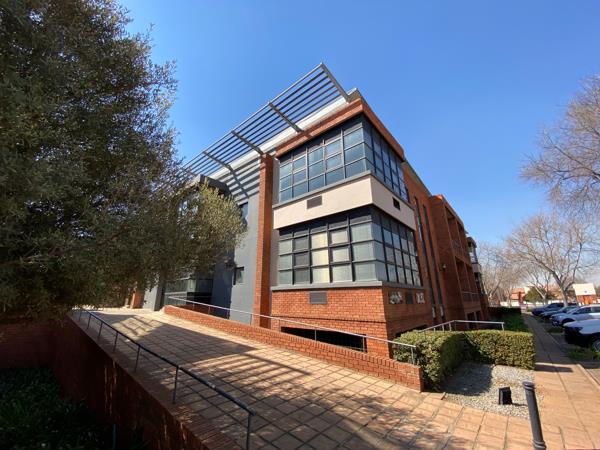 131 m² Office Space