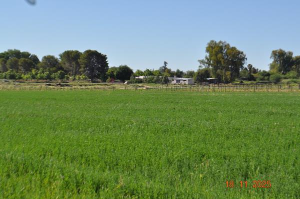 17.1 ha Farm