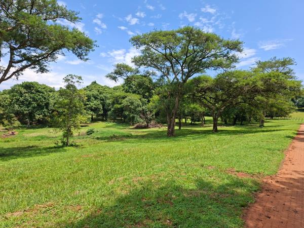 5 118 m² Land