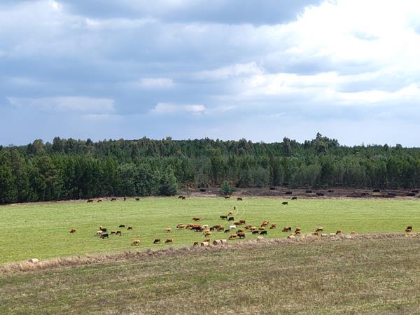 461.6 ha Farm