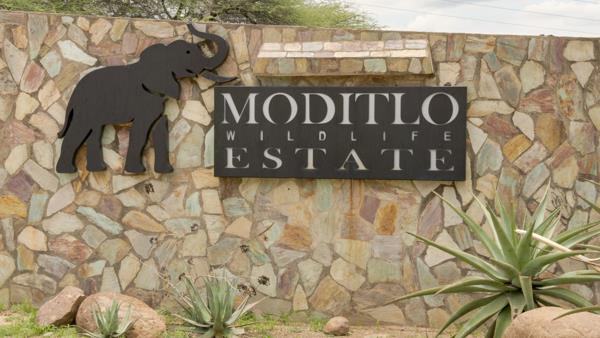 1.6 ha Land