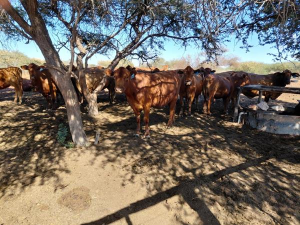 8 347 ha Farm