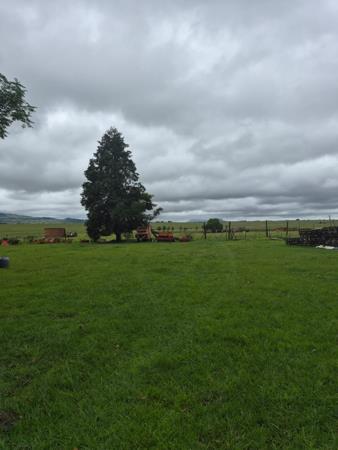 75 ha Farm with House