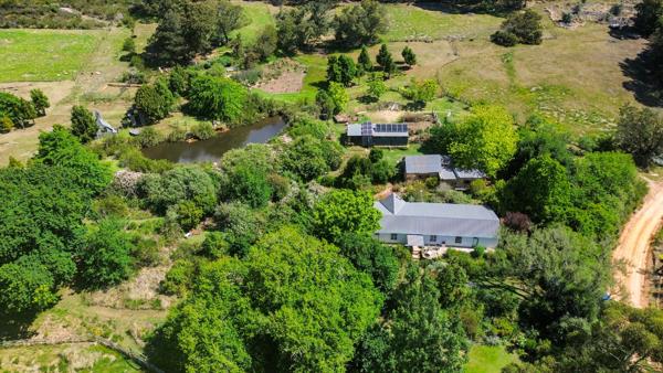 8.2 ha Agricultural Holding