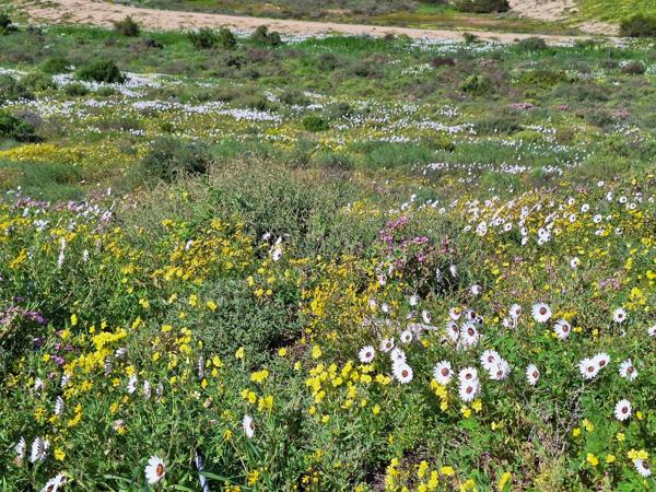 494 m² Land