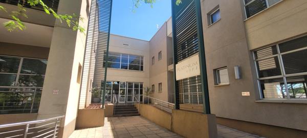 91  m² Office Space