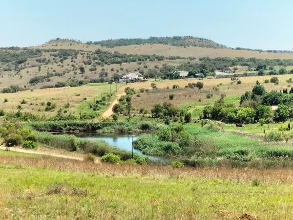 22.1 ha Agricultural Holding