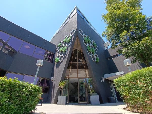 45  m² Office Space