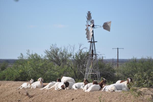 11 848 ha Farm