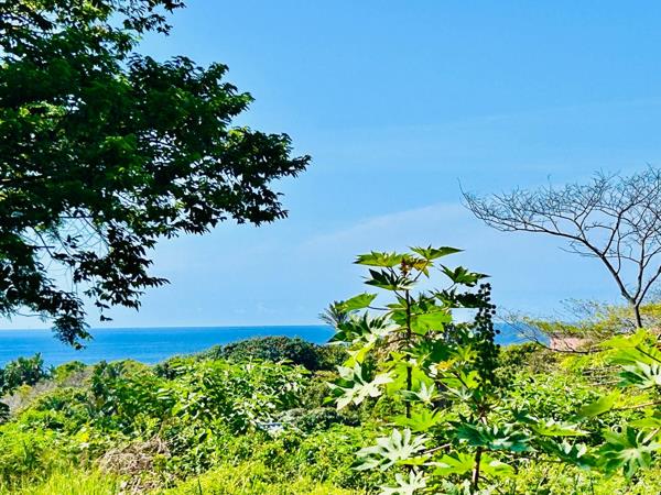 2.6 ha Land