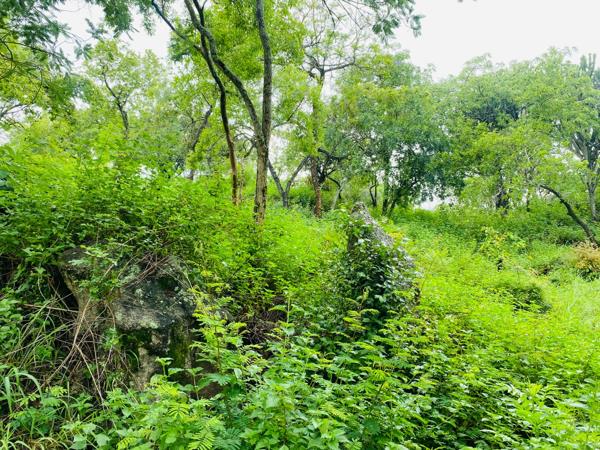 1 207 m² Land