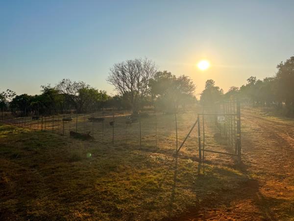 77 ha Farm