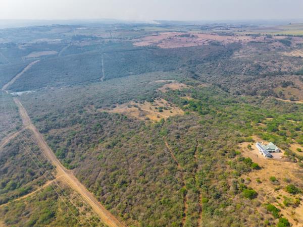 4 239 m² Land