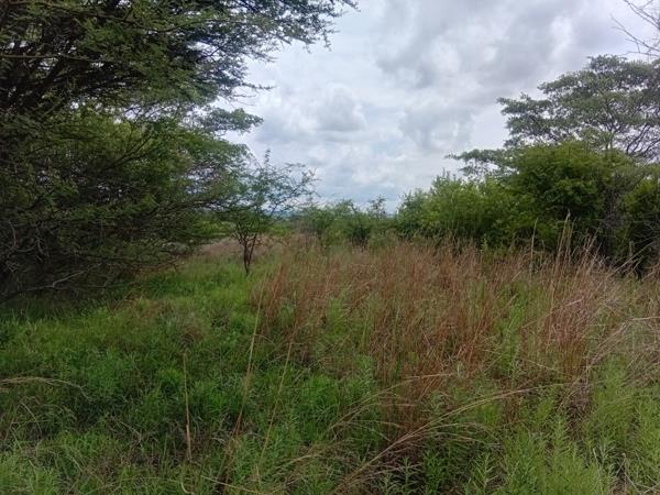 1 456 m² Land