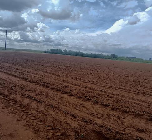 21 ha Farm with House