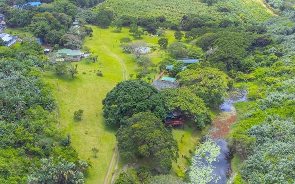 4 ha Farm with House