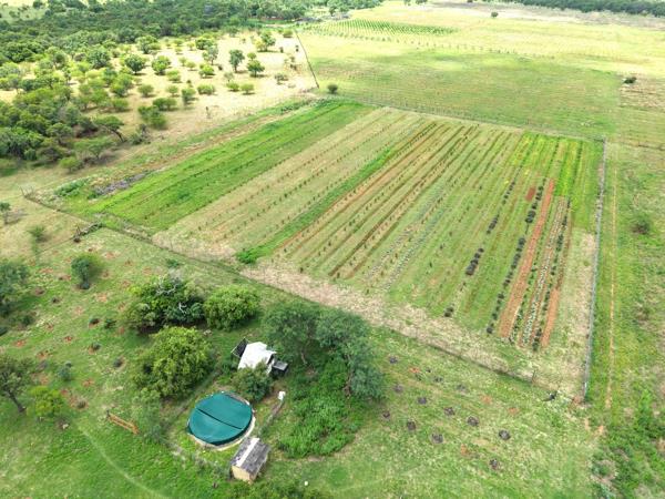 32 ha Farm