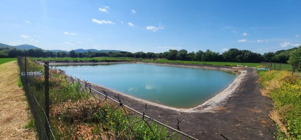 4.7 ha Agricultural Holding