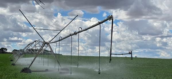 734 ha Farm