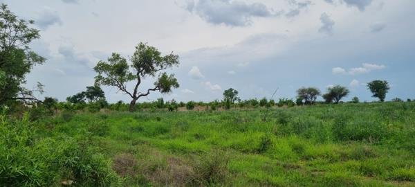 5.2 ha Agricultural Holding