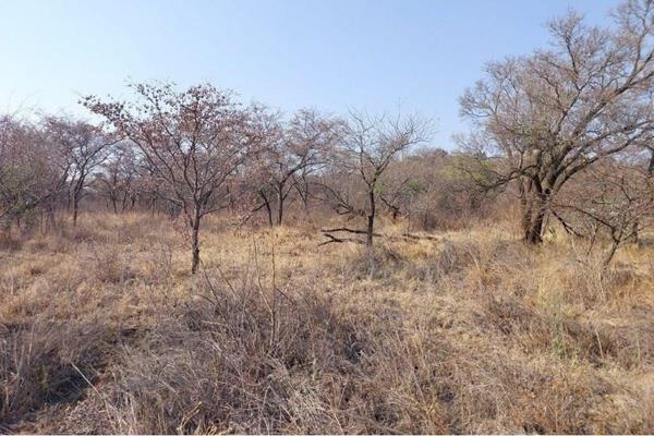 8 564 m² Land