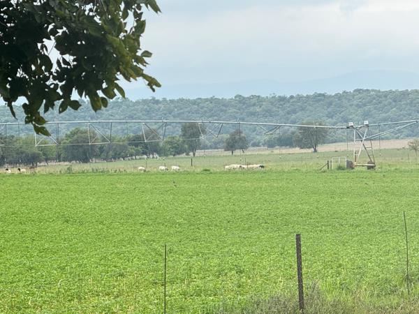 308 ha Farm with House